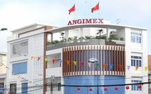 Trái chủ ‘nóng ruột’ vì lô trái phiếu trăm tỷ của Angimex chưa thanh toán