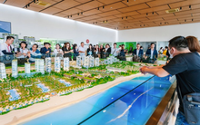 Ra hàng ngàn sản phẩm nhưng không bán được căn nào, phân khúc bất động sản này vẫn chìm trong giấc ngủ đông