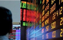 'Không ai một mình có thể kéo thị trường chứng khoán đi lên'