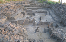 Bãi cọc Bạch Đằng phát lộ sau hàng trăm năm