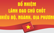 Phân công, bổ nhiệm nhiều nhân sự quan trọng