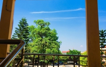 Thành tích đáng gờm của ngôi trường lấy 17 điểm đầu vào ở Hà Nội: Top 3 môn Hoá thi tốt nghiệp THPT, học sinh từng đi thi Olympia