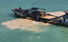 Đảm bảo đủ nguyên liệu sản xuất vật liệu xây dựng