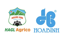 Thứ hai buồn của nhà đầu tư nắm giữ 2 "mã H": Cổ phiếu Xây dựng Hòa Bình và HAGL Agrico rơi thẳng về giá sàn ngay sau "hung tin" hủy niêm yết