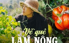 Cô gái 33 tuổi về quê làm ruộng: Tự do cả về vật chất lẫn tinh thần