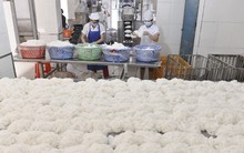 Thực hư bún tươi chứa formol