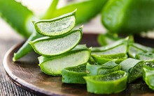 "Trùm" bán nguyên liệu cho Vinamilk, Masan, Unilever đẩy mạnh mua cổ phần "Vua nha đam" GC Food