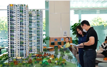 Bất động sản đang trên đà phục hồi