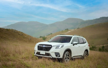 Subaru Forester 2024 giảm mạnh 140 triệu đồng cao nhất phân khúc SUV cỡ C, dọn kho chờ ngày nhập Nhật