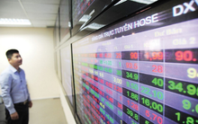 HoSE lên tiếng về sự cố gián đoạn kết nối với công ty chứng khoán, nguyên nhân đưa ra gây bất ngờ