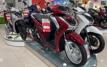 Một phiên bản Honda SH đang giảm đậm 30 triệu đồng tại đại lý, xuống mức thấp hiếm có nhiều năm