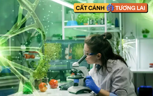 1 ngành học siêu hot, dẫn trước xu thế tương lai đang khát  25.000 lao động nhân lực: Điểm chuẩn "dễ thở", ra trường thu nhập tới hàng tỷ đồng/năm