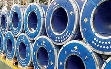 Thép Nam Kim sắp phát hành cổ phiếu, huy động 1.600 tỷ đồng xây dựng nhà máy