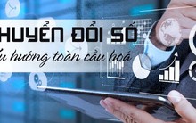 Đưa các tiện ích thiết yếu lên ứng dụng VNeID, hoàn thành trước 31/12/2024