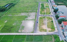 Đấu giá đất: Khi 'cò' thao túng