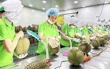 Giao thương Việt Nam - Trung Quốc tăng trưởng vượt bậc