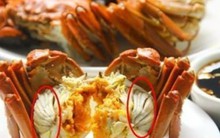 4 bộ phận của cua biển bạn không nên ăn