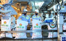 Ăn nên làm ra, lãnh đạo Đạm Cà Mau (DCM) đang nhận thù lao như thế nào?
