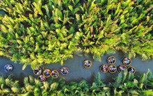 Chuyến đi thuyền ở miền Trung lọt danh sách "tuyệt vời nhất thế giới": Giá vé chưa đến 100.000 đồng/người