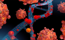 Phát hiện biến chủng đậu mùa khỉ mới và nguy hiểm hơn ở Thái Lan: Nhiều quốc gia châu Á tăng cường phòng ngừa