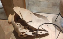 “Trẻ con biết gì đâu”: Cậu bé 5 tuổi nghịch ngợm làm vỡ bình cổ 3.500 năm tuổi, viện bảo tàng có phản ứng bất ngờ