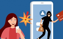 Chuyển tiền đầu tư qua mạng, 2 người ở Phú Yên bị lừa 3,3 tỷ đồng