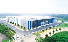 Nửa đầu năm 2024, Phenikaa Group báo lãi sau thuế hơn 500 tỷ đồng