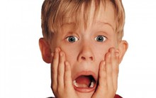 Doanh nghiệp nắm nhiều BĐS tại Hải Phòng, chuyên cung cấp nguyên liệu cho các "gã khổng lồ" Hòa Phát, EVN, PVN báo lãi quý 2 "bốc hơi" 90% dù doanh thu cao kỷ lục