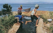 Những bức ảnh cũ cách đây 40 năm, sẽ hiểu được ngày nay cứ 5 trẻ lại có 1 trẻ bị vấn đề tâm lý