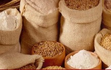 Nguyên nhân giá thức ăn chăn nuôi đắt đỏ