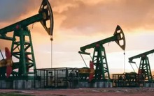 Dòng vốn đầu tư khổng lồ đổ về "vựa vàng đen"