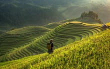 Huyện miền núi lọt danh sách "điểm đến có vẻ đẹp siêu thực", cách Hà Nội 300km, đường lên khó hơn Sa Pa