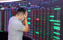 Bộ đôi TCH và HHS đồng loạt giảm "trắng bên mua", nhà đầu tư "mắc kẹt" với hàng chục triệu cổ phiếu chất giá sàn