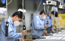 3.400 doanh nghiệp bị điều tra về tiền lương