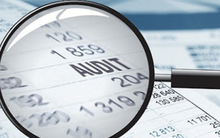 Loạt doanh nghiệp bị kiểm toán nghi ngờ khả năng hoạt động liên tục