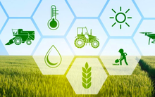 Đối tác nước ngoài trả giá cao cho sản phẩm sản xuất xanh, nhưng doanh nghiệp vẫn gặp khó