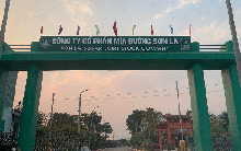 Mía đường Sơn La chốt quyền trả cổ tức niên độ 2023-2024 bằng tiền, tỷ lệ 200%