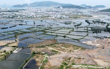 Khánh Hòa chi hơn 1.867 tỷ đồng xây dựng trụ sở các cơ quan