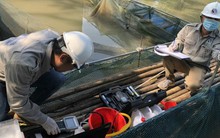 Tuyên Quang điều tra nghi vấn nước suối màu đen làm cá chết hàng loạt sau bão số 3