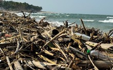 Hàng trăm hộp thuốc chống đột quỵ lẫn trong rác dạt vào bờ biển Quảng Bình