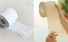 Vì sao giấy vệ sinh lại có loại màu vàng và loại màu trắng? Mẹo kiểm tra chất lượng giấy đơn giản tại nhà