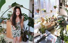 Căn hộ rộng 60m2 biến thành "khu rừng trong nhà" của cô gái xinh đẹp