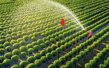 Úc cam kết hỗ trợ Việt Nam trong lĩnh vực được coi là “xương sống” của nền kinh tế, đóng góp 12% GDP