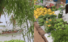 Đi chợ quê Đồng Tháp: Giờ mở cửa lạ lùng, bạt ngàn đồ đặc sản, không mặc cả nhưng ai cũng gật gù thấy ổn