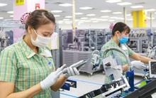 Kim ngạch xuất nhập khẩu bất ngờ chững lại