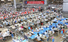 Nam Định rầm rộ hút vốn nước ngoài để trở thành Trung tâm dệt may của miền Bắc, công ty niêm yết lớn thứ 2 ngành dệt may hưởng lợi