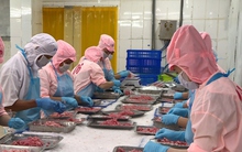 Việt Nam xuất siêu hơn 19 tỷ USD trong 8 tháng