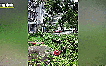 Trung Quốc: Đảo Hải Nam cây, xe ngã đổ la liệt sau bão Yagi
