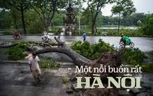 Hà Nội, những ngày cây không còn nữa…