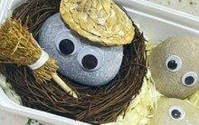 Vừa nghèo vừa cô đơn, gen Z Trung Quốc đua nhau 'nuôi' đá cuội làm thú cưng